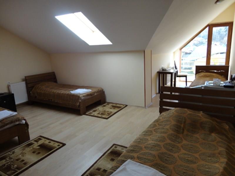 Панорама Bakuriani Hills 3*