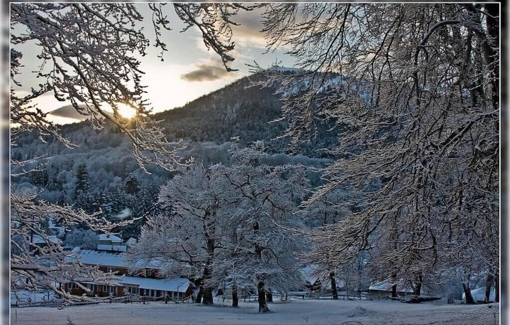 Территория Apollon 3*