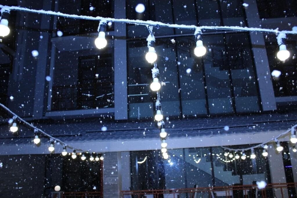 Територія Three Penguins Hotel 4*