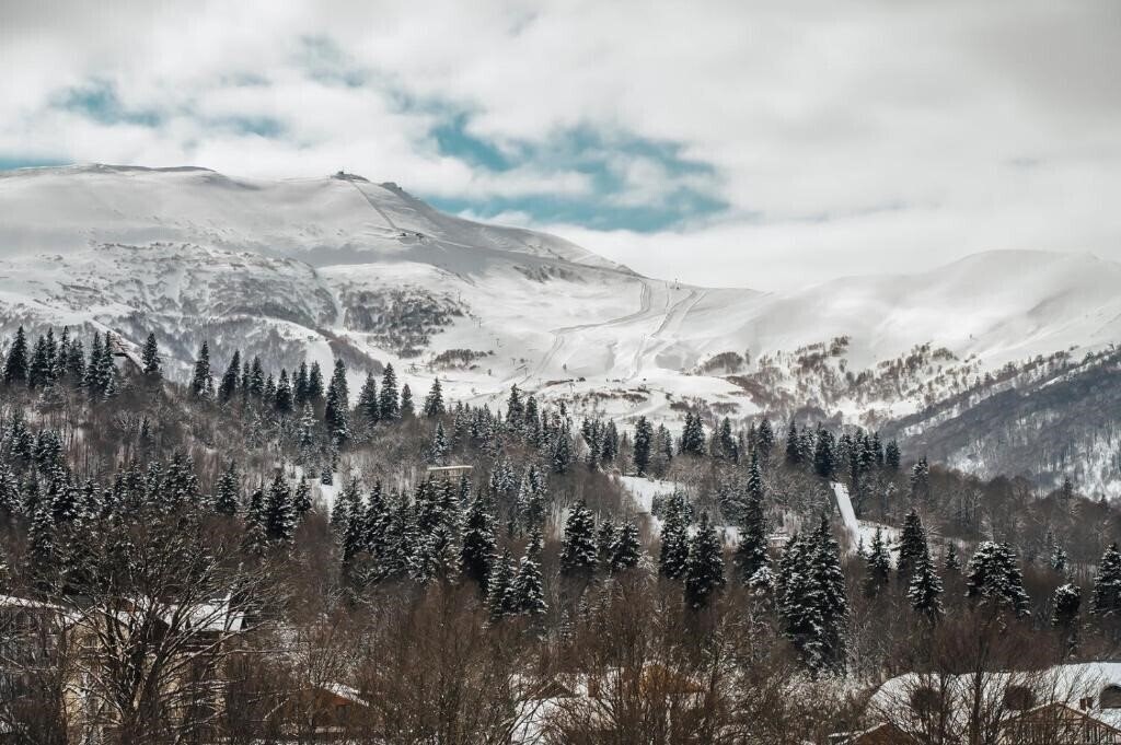 Територія Dialog Kokhta Aparts 4*