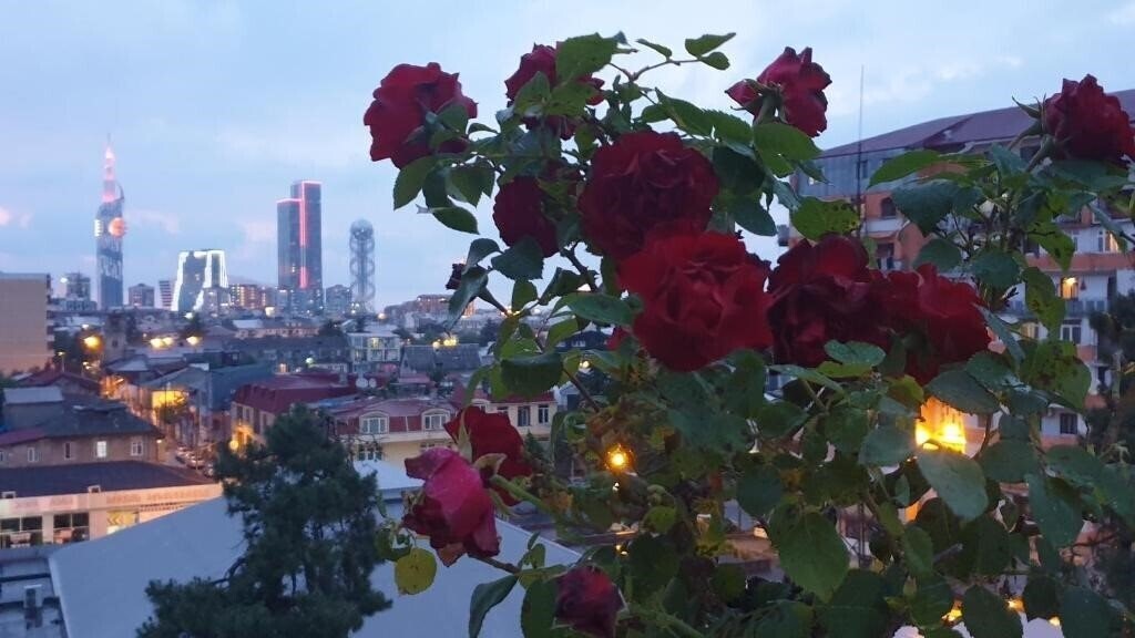 Апартаменти Marani 3*