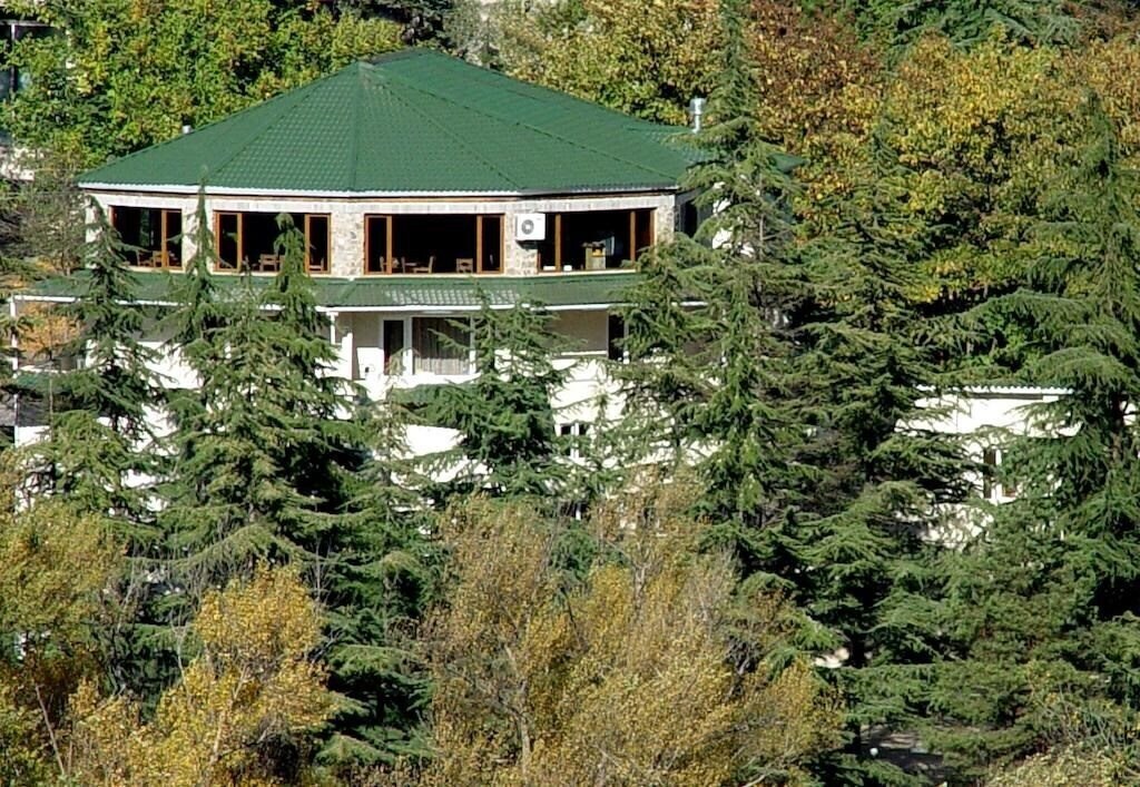 Отель Borjomis Kheoba 3*