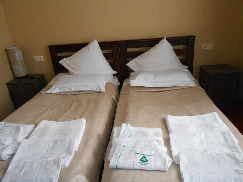 Панорама Borjomis Kheoba 3*