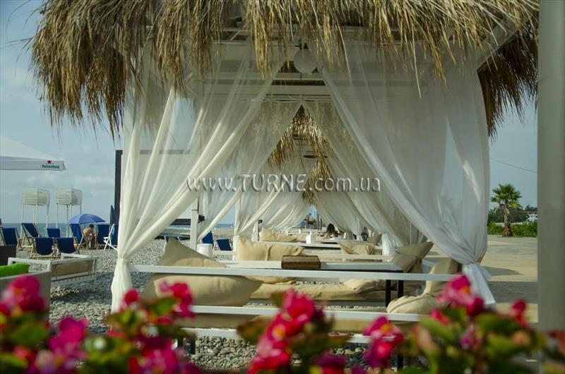 Картинка Mgzavrebi Gonio 3*