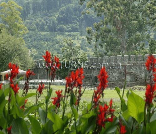 Панорама Aliko 2*