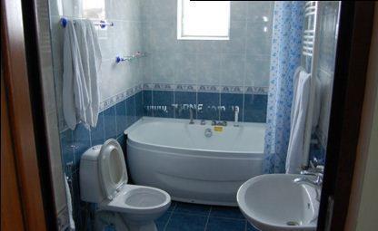 Отель Gagieti 3*