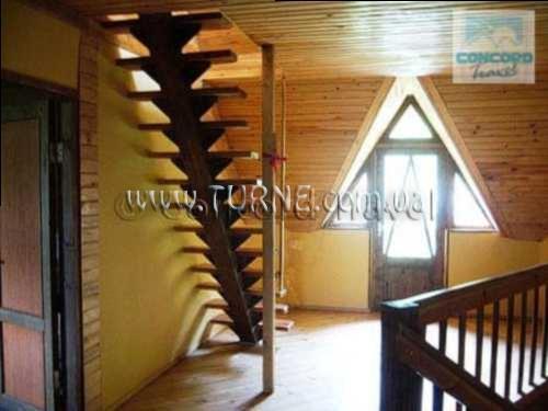 Вид Mzis Saxli 2*