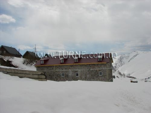 Вид Багтриони 2*