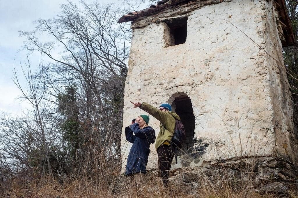 Вид Lopota Lake Resort 5*