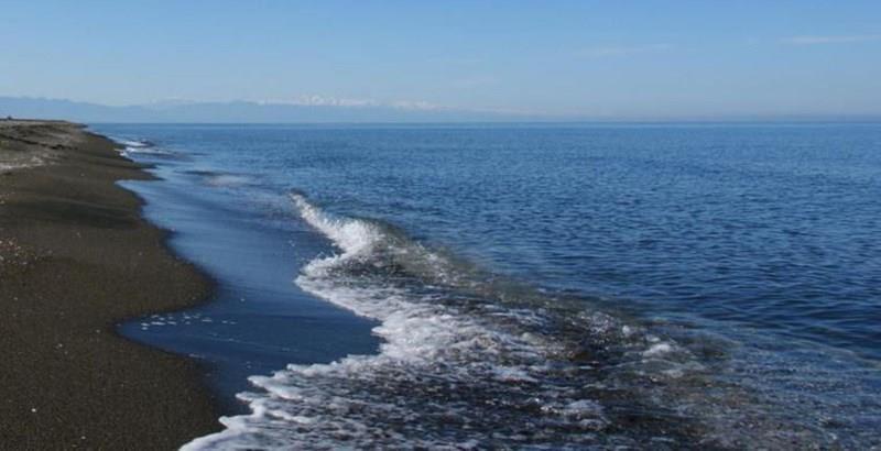 Вид Agmashenebeli 339 2*