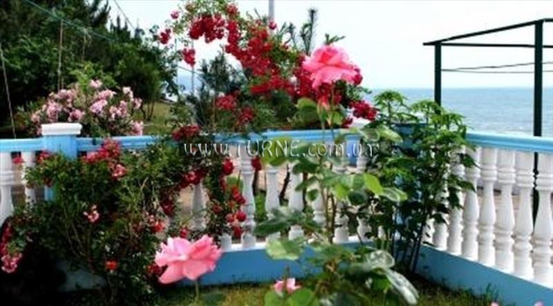 Фотографія Sanapiro Kobuleti 2*