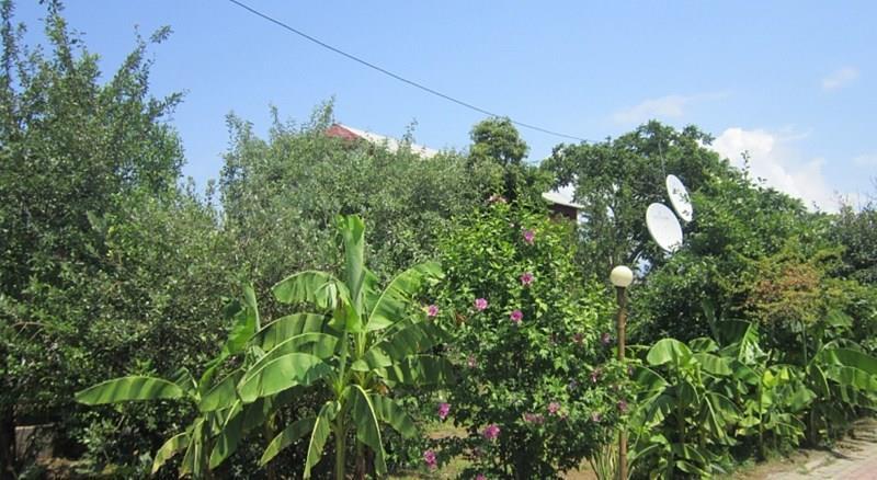 Фотографія Mirage Aprt апартаменты