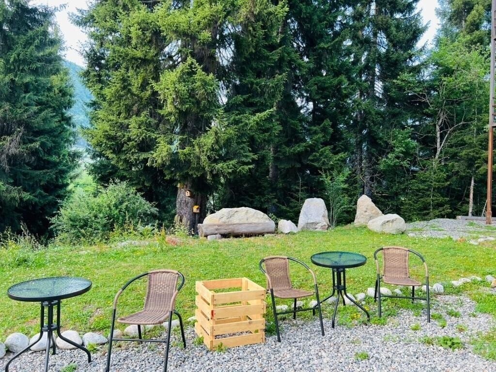 Територія Hotel Shgedi Mestia 4*