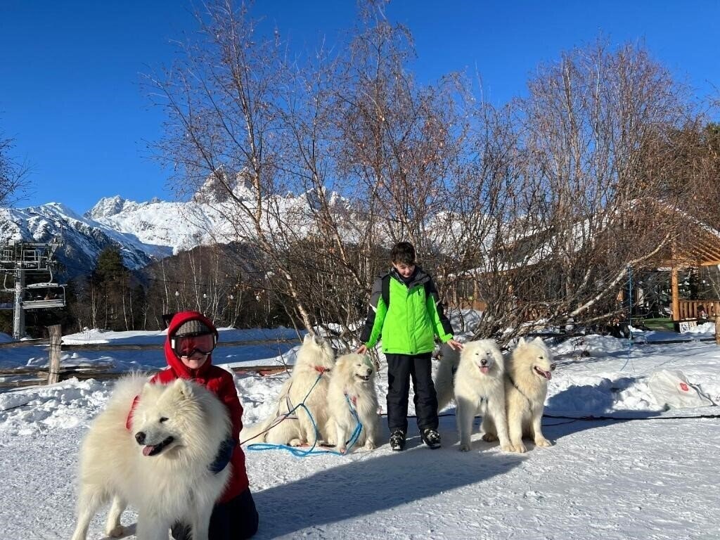 Готель Hotel Shgedi Mestia 4*