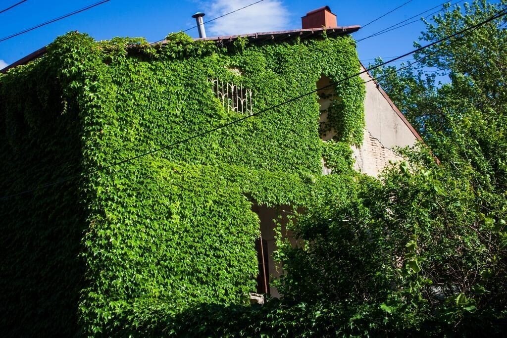 Фотография Hotel Flamingo 3*