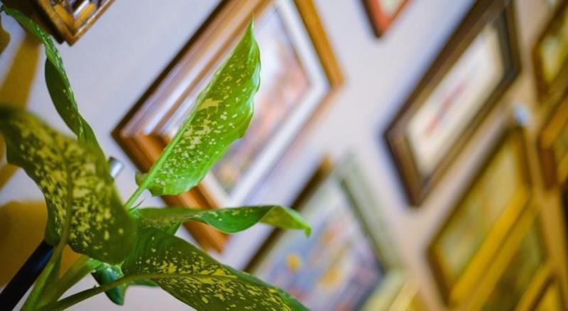 Вид Ponto Isani 3*