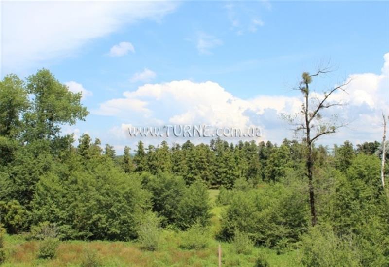 Отель Unikalo 3*