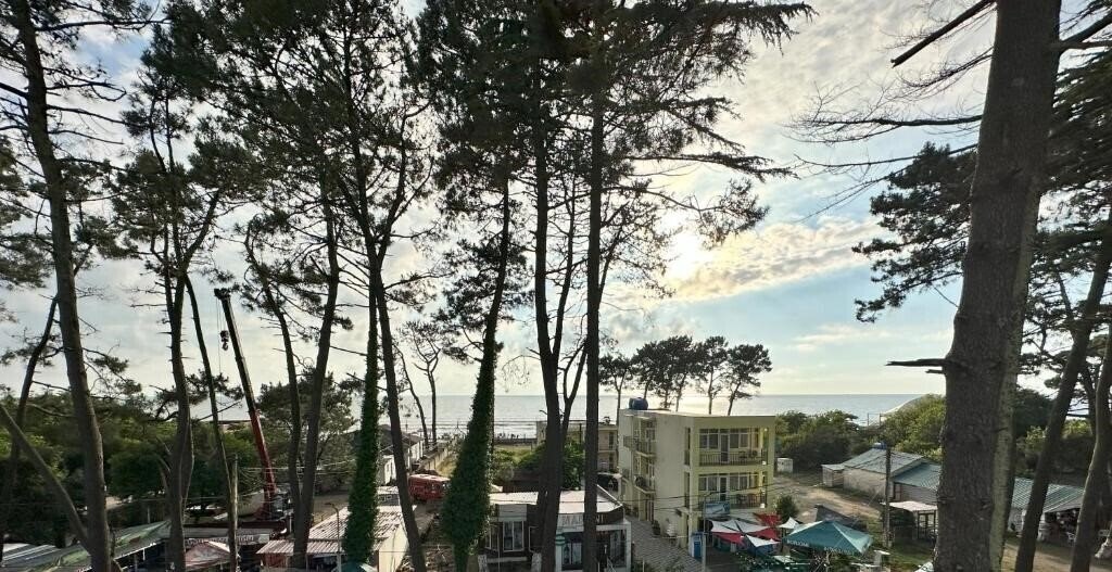 Панорама National Ureki 3*