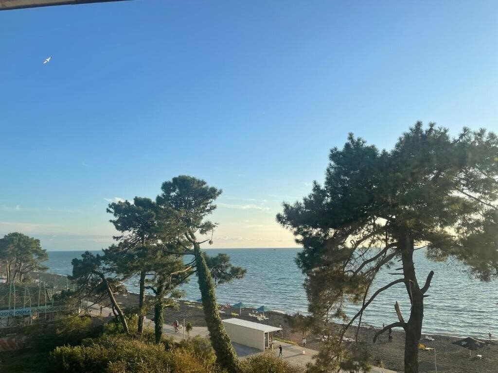 Территория Agro 3*