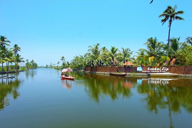 Вид Kondai Lip 2*