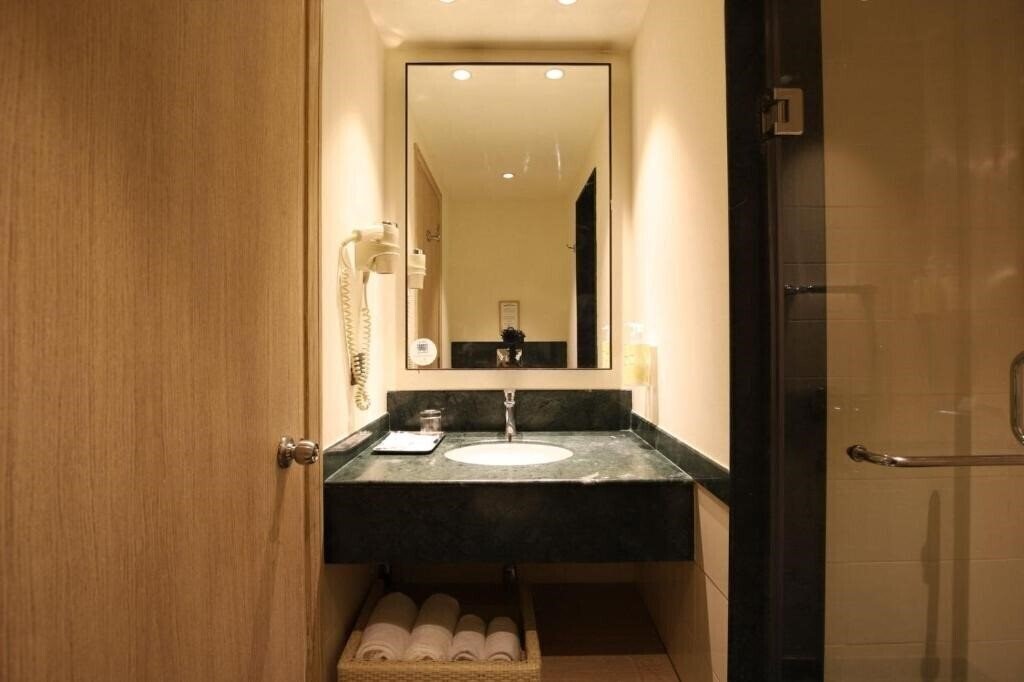 Вид Red Fox Hotel Delhi Aerocity 5*