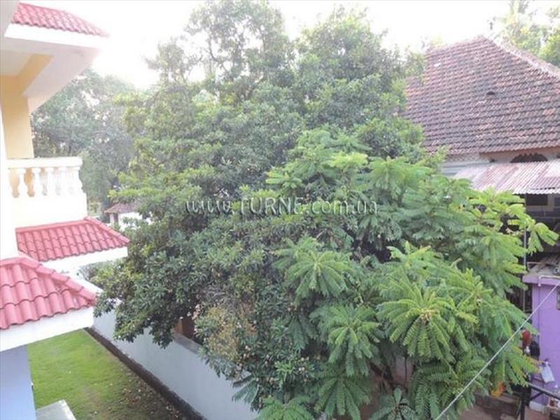 Фото Orchid Guest House 2*