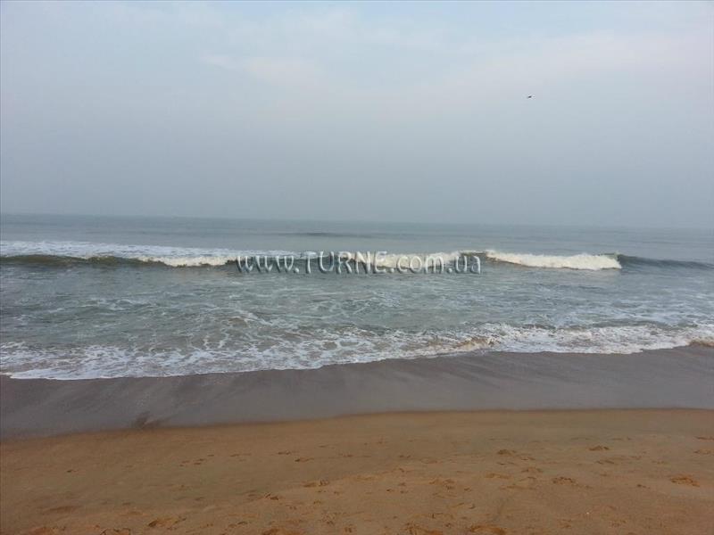 Вид Nelmar Nest 1*