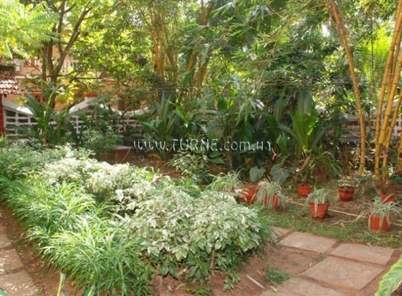 Панорама Pinto Guest House 2*