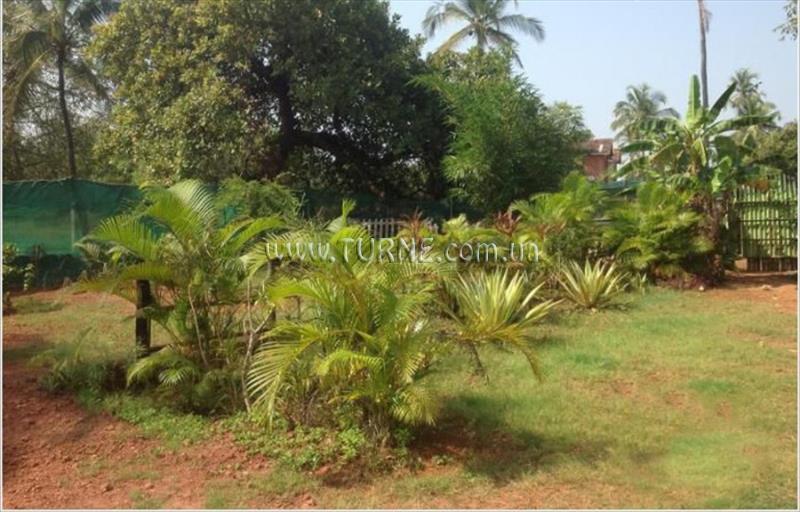 Картинка Edem Garden Resort 2*