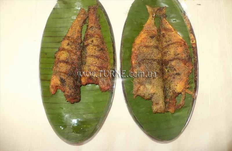 Фотографія Celi'S Resort 1*