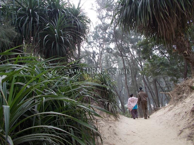 Изображение Morjim Laxmi Resort 2*