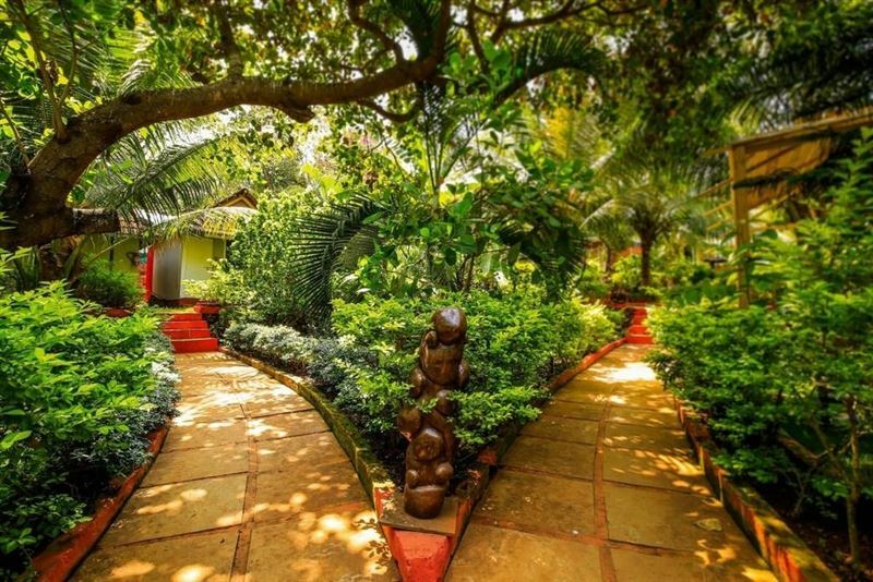 Вид Curlies Zulu Land Cottages 2*