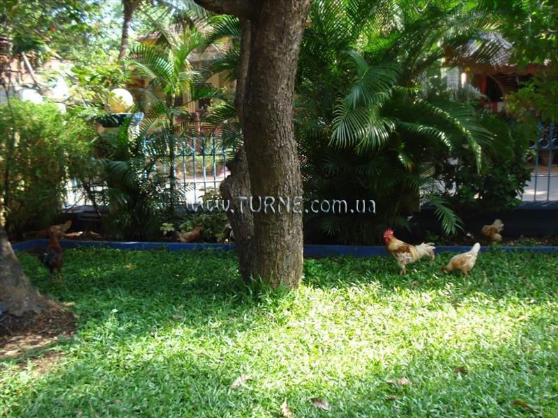 Картинка The Quest Hotel 1*