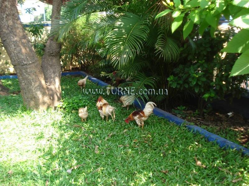 Изображение The Quest Hotel 1*