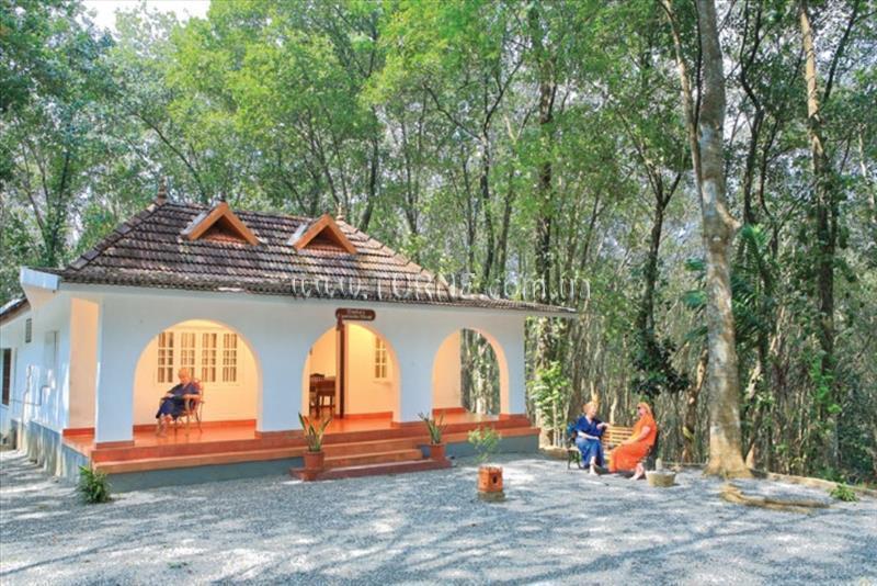 Апартаменти Duke's Forest Lodge апартаменты