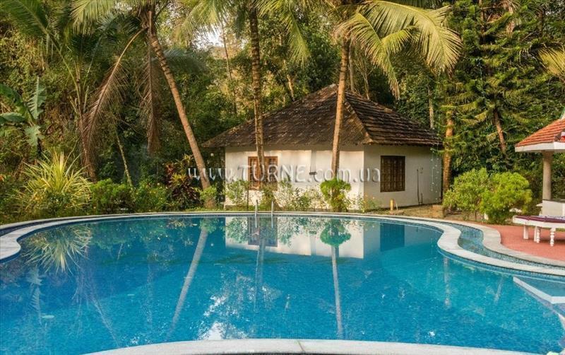 Картинка Duke's Forest Lodge апартаменты