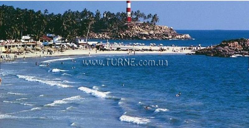 Территория Seaweed 3*