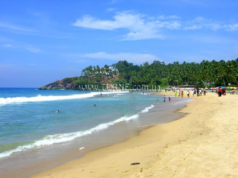 Изображение Seaweed 3*