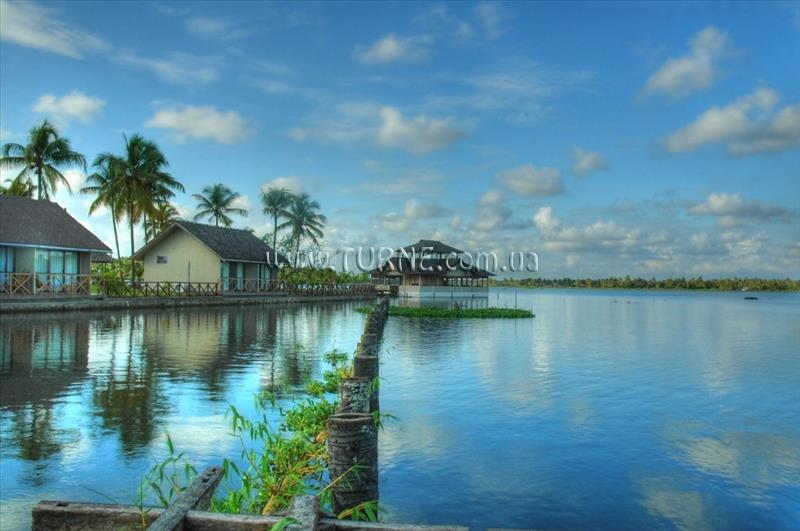 Фотография Seaweed 3*