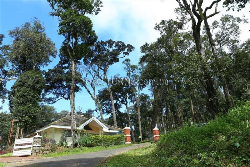 Територія Deep Woods Resort 3*