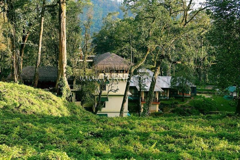 Фотографія Deep Woods Resort 3*