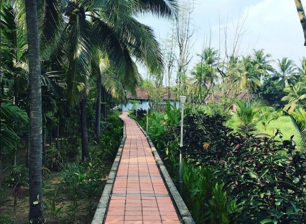 Фотографія Rajah Eco Beach 3*