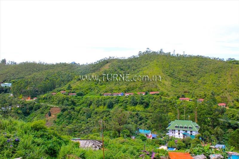 Вид Tea County 4*