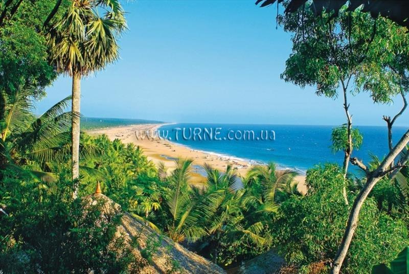 Панорама Nikki's Nest 3*