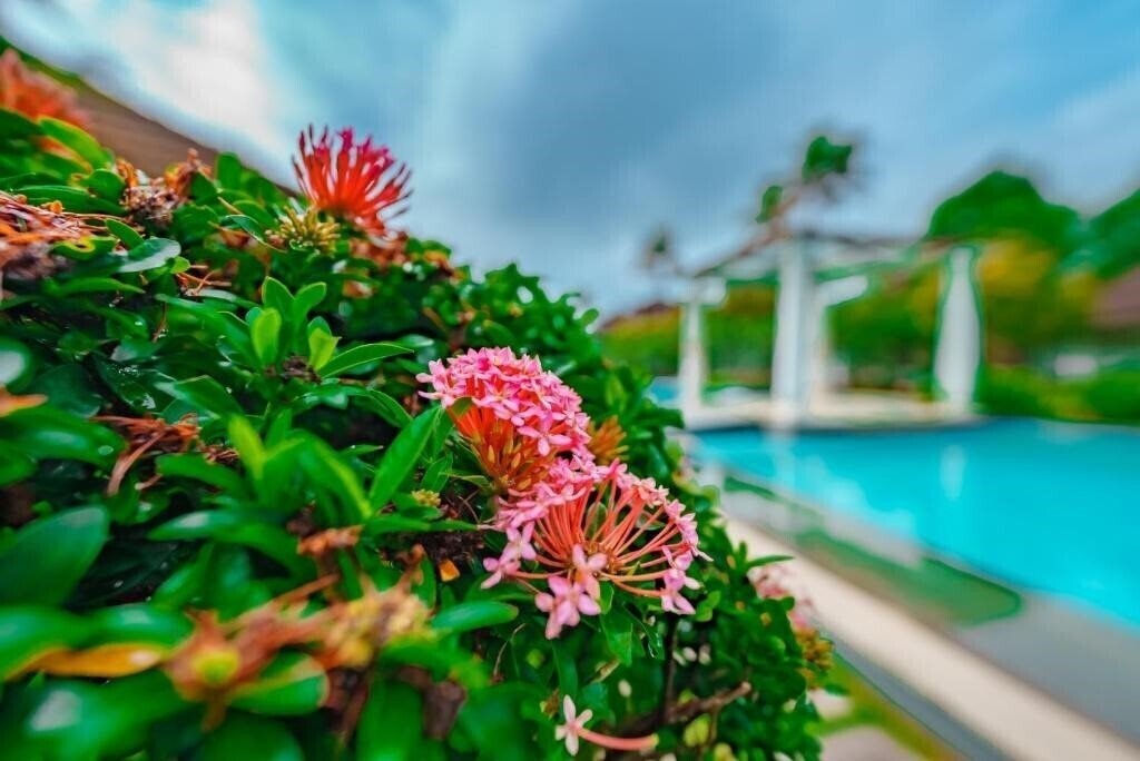 Апартаменти Aveda Kumarakom 5*