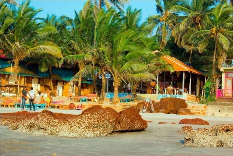 Панорама Sea View Ashvem 2*