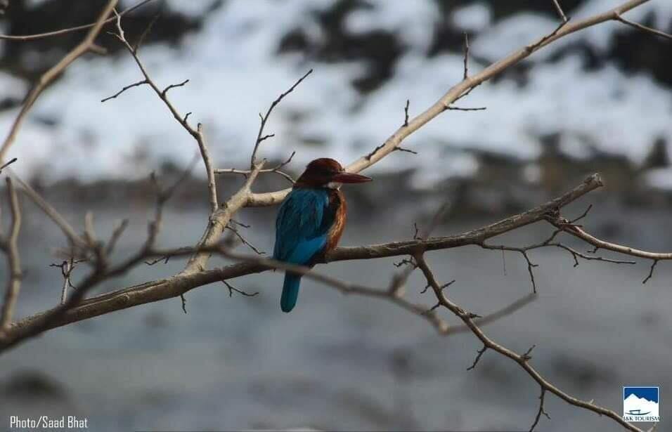 Апартаменти Paradise Beach Resort 3*