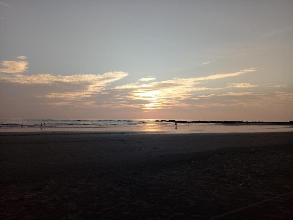 Панорама Shaans Coco Palms Beach Resort (ex. Morjim Coco Palms) 2*