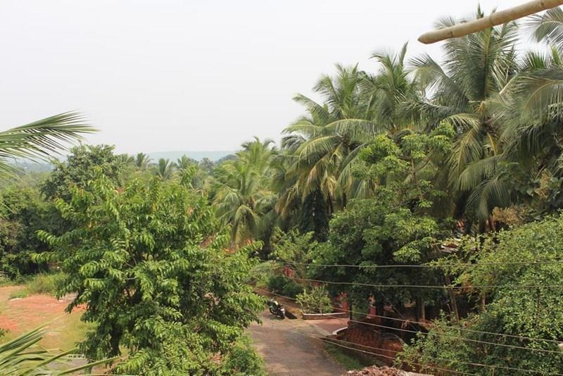 Вид Kiara Beach Hotel 1*