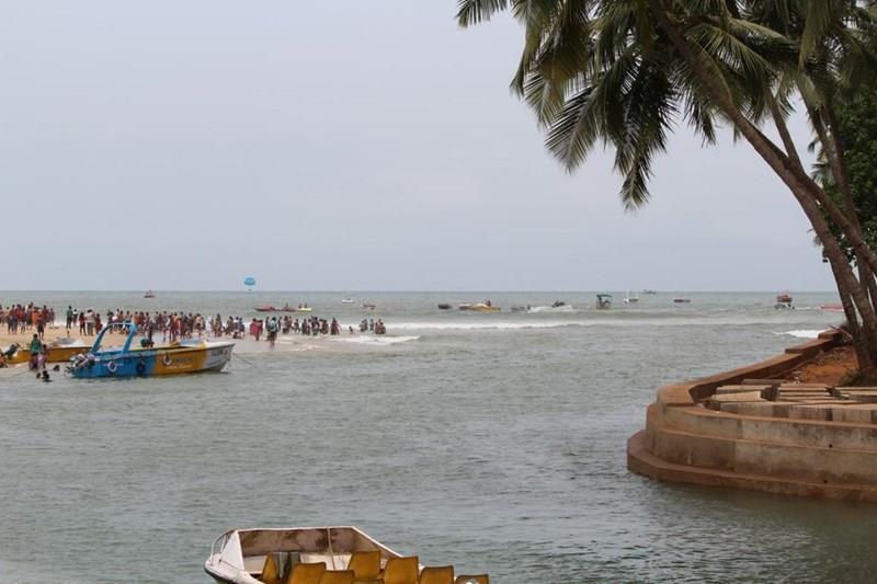 Вид Sugar Plum 1*